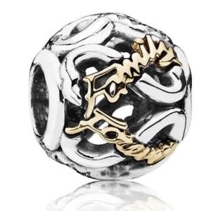 Pandora family forever charm